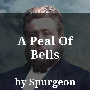 A Peal Of Bells