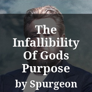 The Infallibility Of Gods Purpose