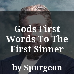 Gods First Words To The First Sinner