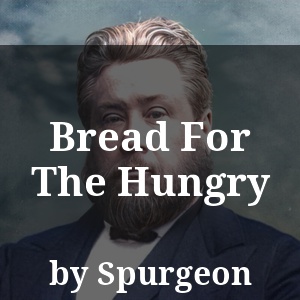 Bread For The Hungry