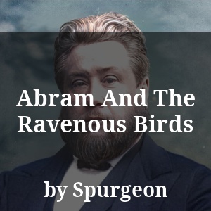 Abram And The Ravenous Birds