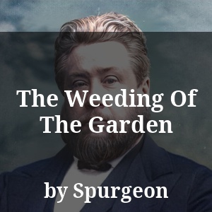 The Weeding Of The Garden