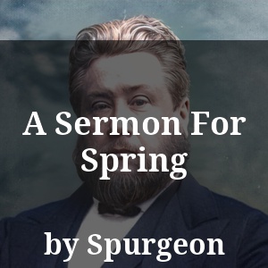 A Sermon For Spring