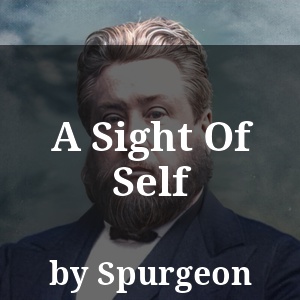 A Sight Of Self