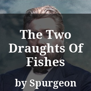 The Two Draughts Of Fishes