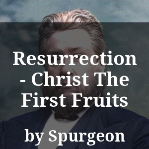 Resurrection - Christ The First Fruits