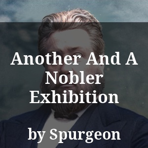 Another And A Nobler Exhibition