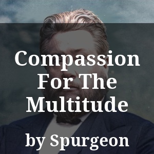 Compassion For The Multitude