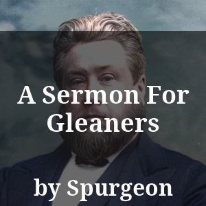 A Sermon For Gleaners