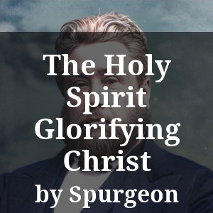 The Holy Spirit Glorifying Christ