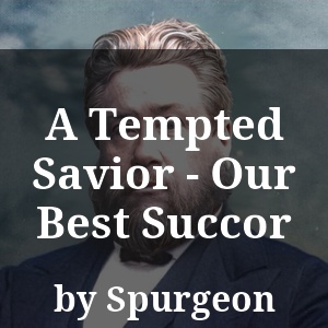 A Tempted Savior - Our Best Succor