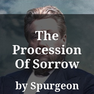 The Procession Of Sorrow