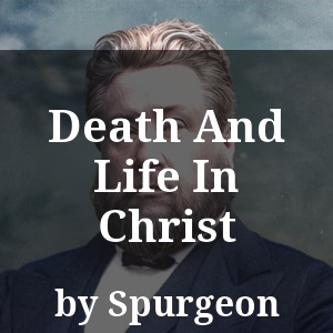 Death And Life In Christ