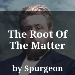 The Root Of The Matter