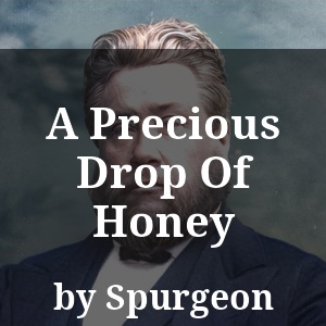 A Precious Drop Of Honey