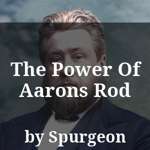 The Power Of Aarons Rod