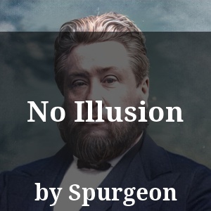 No Illusion