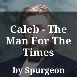 Caleb - The Man For The Times