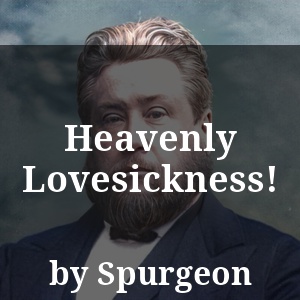 Heavenly Lovesickness!