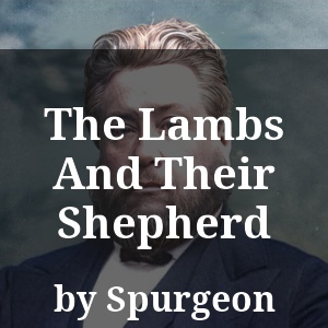 The Lambs And Their Shepherd