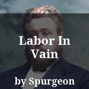 Labor In Vain