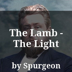 The Lamb - The Light