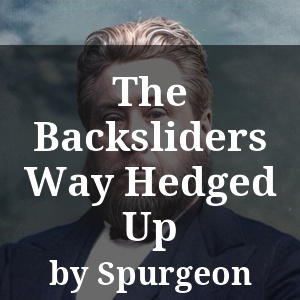 The Backsliders Way Hedged Up