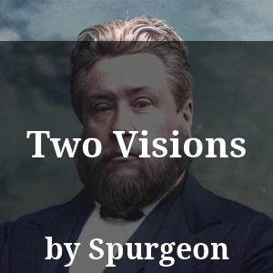 Two Visions