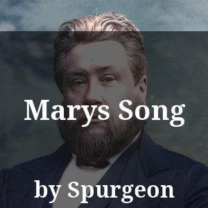 Marys Song