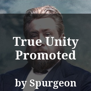 True Unity Promoted