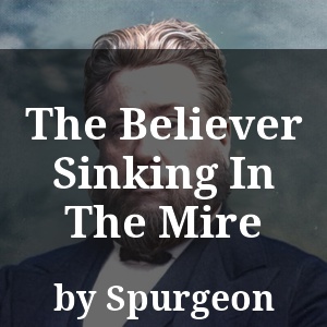 The Believer Sinking In The Mire