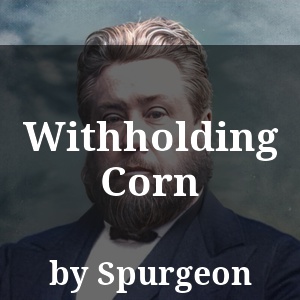 Withholding Corn