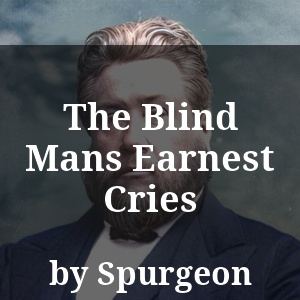 The Blind Mans Earnest Cries