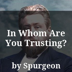 In Whom Are You Trusting?