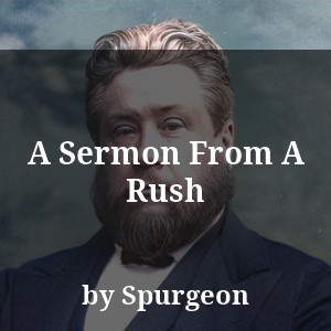 A Sermon From A Rush