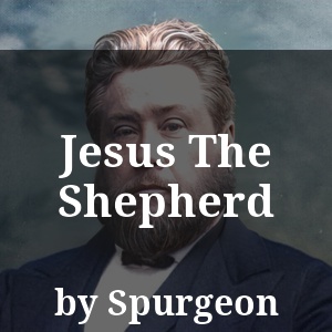 Jesus The Shepherd