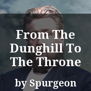 From The Dunghill To The Throne