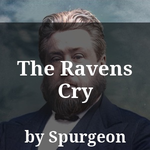 The Ravens Cry