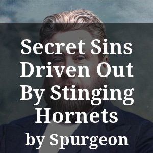 Secret Sins Driven Out By Stinging Hornets