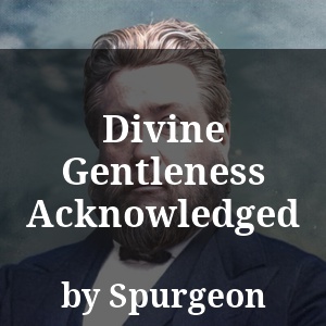 Divine Gentleness Acknowledged