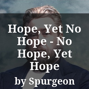 Hope, Yet No Hope - No Hope, Yet Hope