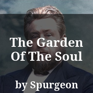 The Garden Of The Soul