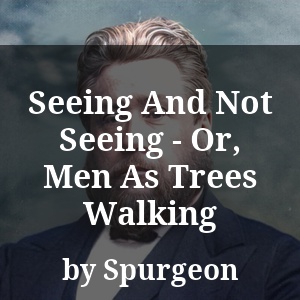 Seeing And Not Seeing - Or, Men As Trees Walking