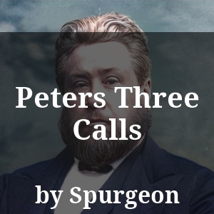 Peters Three Calls