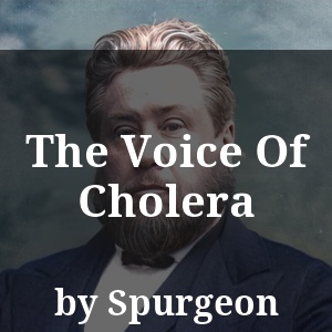 The Voice Of Cholera