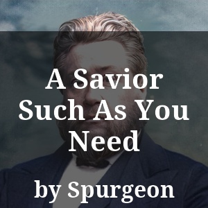 A Savior Such As You Need