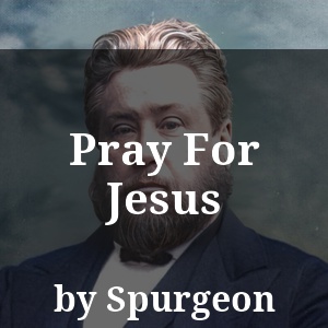 Pray For Jesus