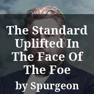 The Standard Uplifted In The Face Of The Foe