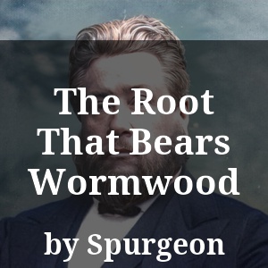 The Root That Bears Wormwood