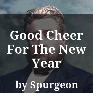 Good Cheer For The New Year